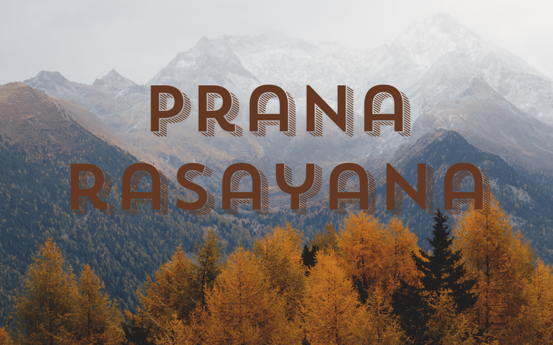 Ce este Prana? Ce este Rasayana?